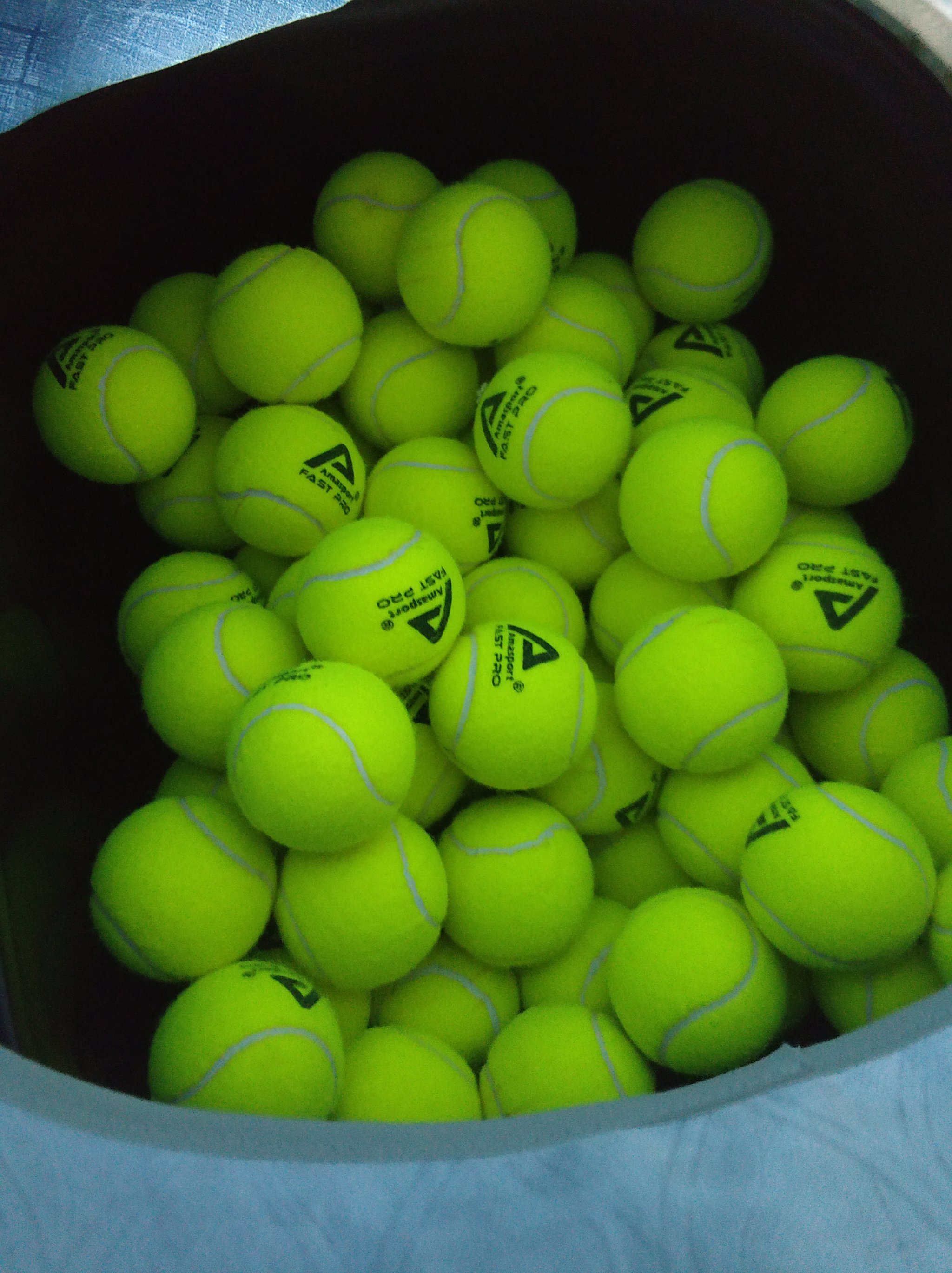 短道速滑世 短道速滑世